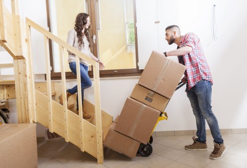 Reviewing records during a removals complaint investigation
