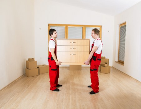 Organised student move with labelled boxes in Collierswood